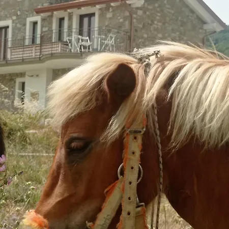 Bed & Breakfast Lux Vera