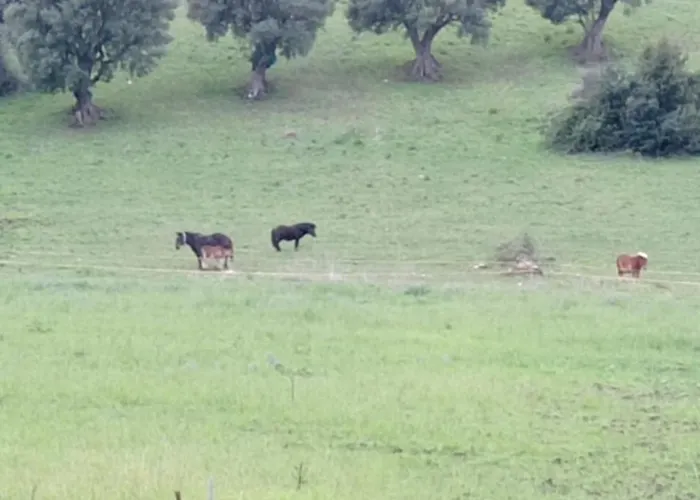 Lux Vera فندق مبيت وإفطار أغروبولي