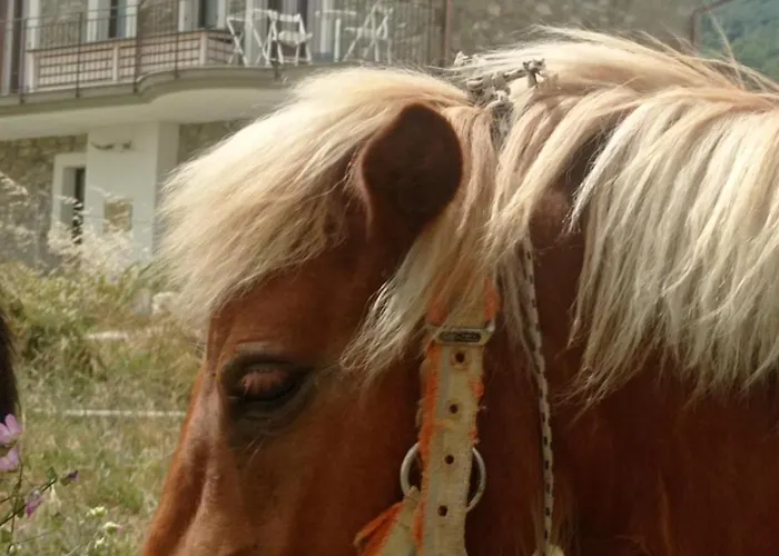 Nocleg ze śniadaniem Lux Vera